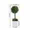 Green 16" ARTIFICIAL Mini Boxwood Ball Topiary Tree White PLANTER POT Party Home
